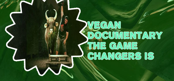 Game changers netflix